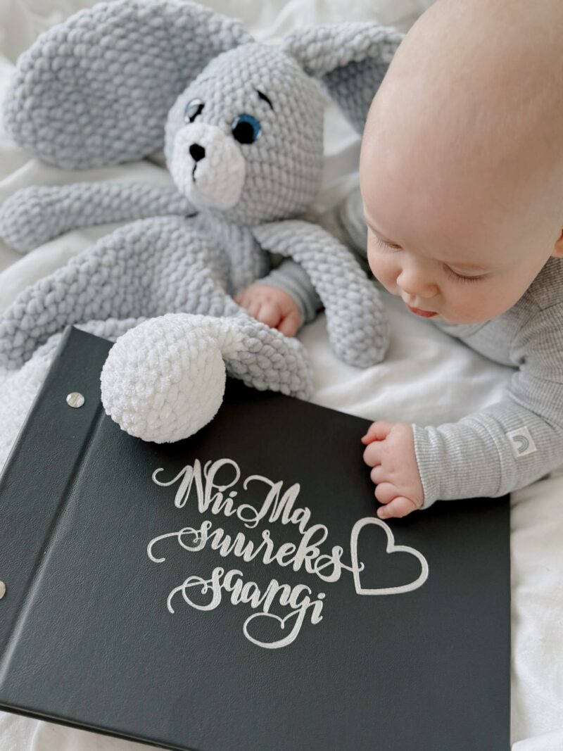 Nahast tumehall hõbedaga fotoalbum 25-lehega